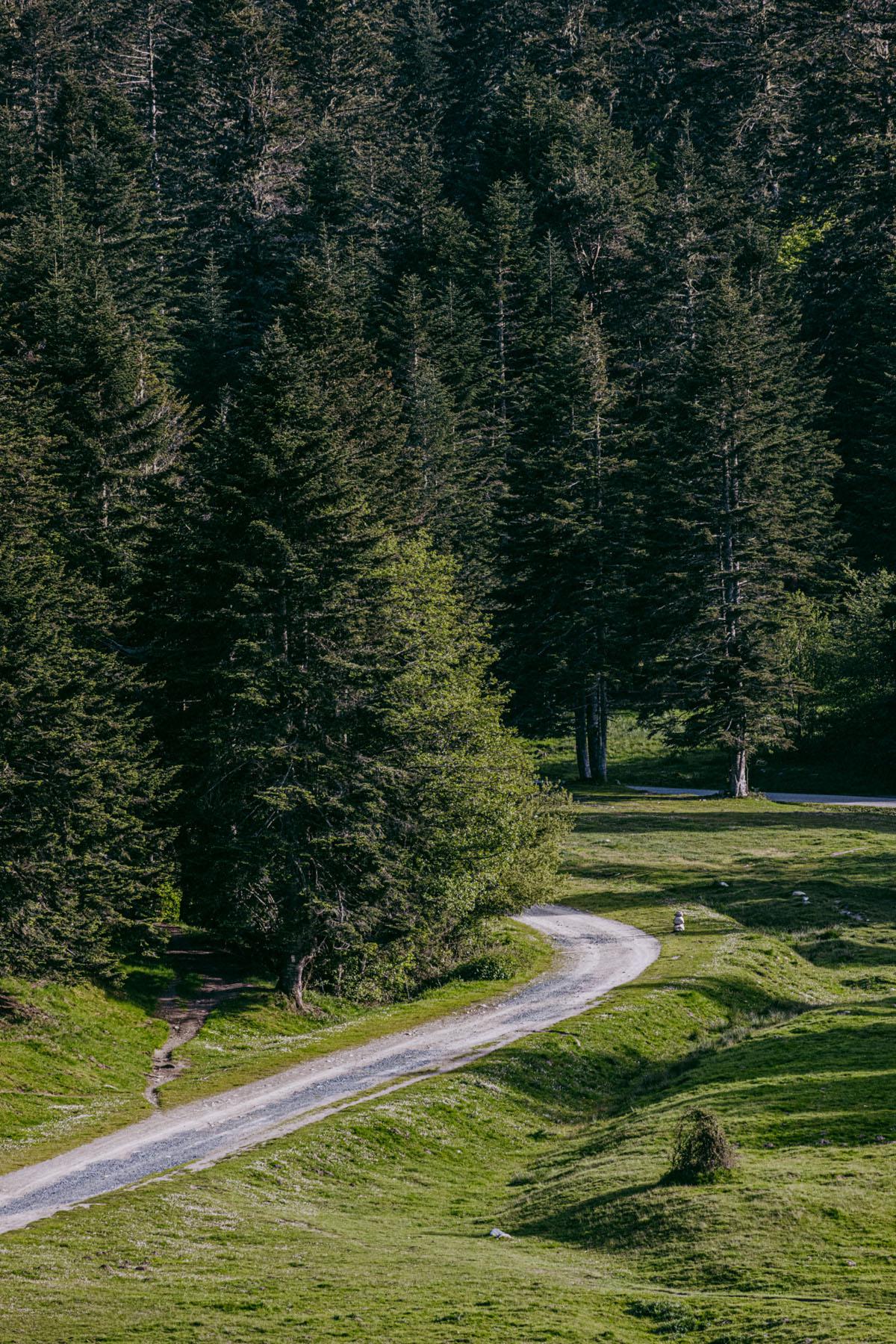 Hiking - Appart Hôtel - Le Clos du 5 - Bagnères-de-Bigorre